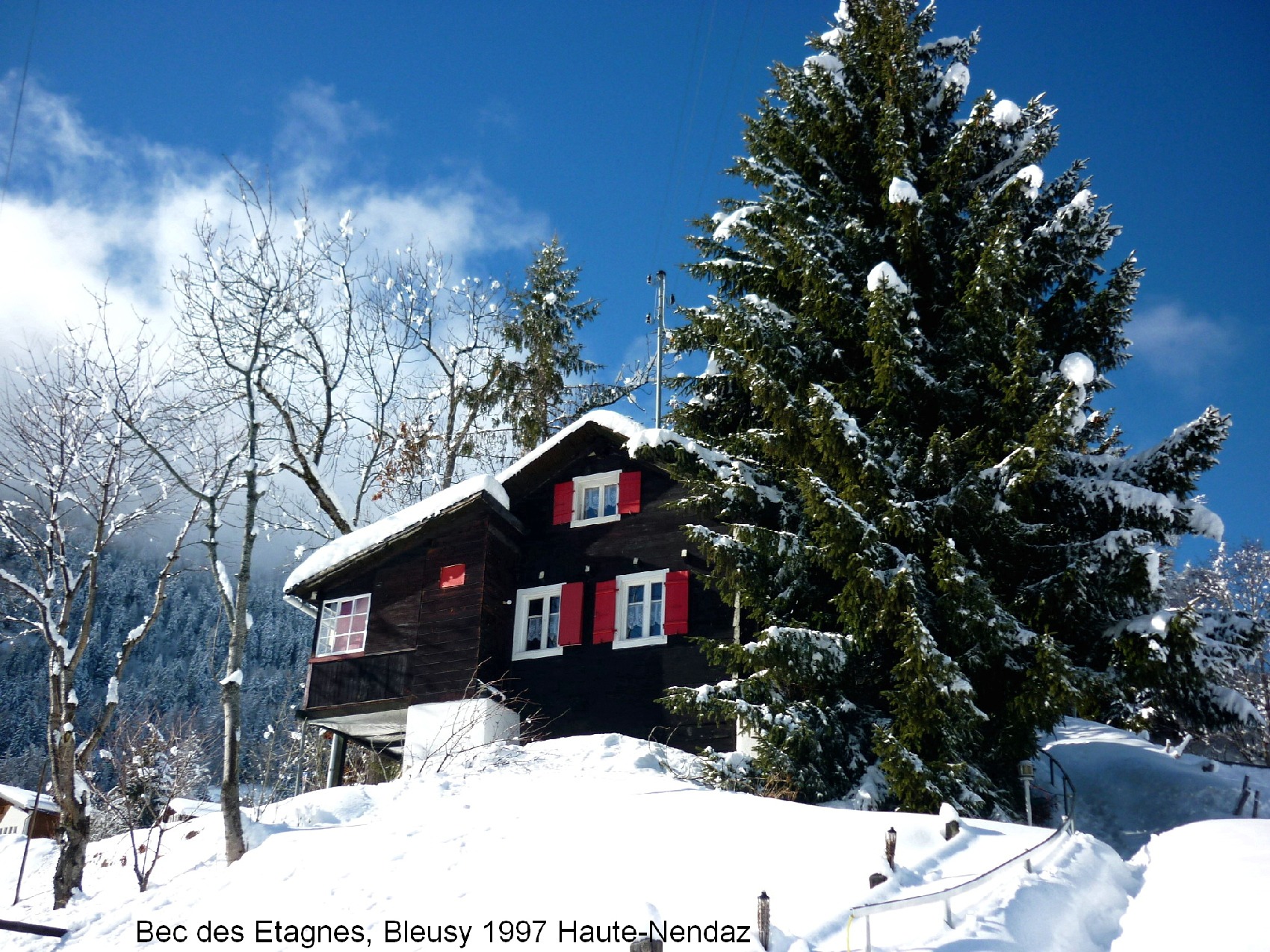 Haute-Nendaz VS, Maiensäss zu vermieten